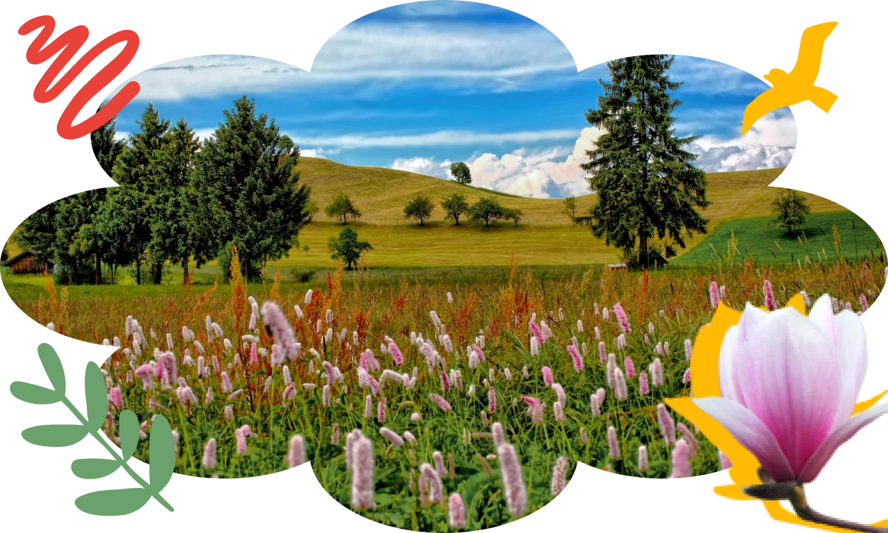 101 Flowers & Trees Trivia Questions To Let Your Knowledge Bloom